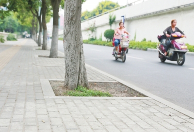  九都路的人行路面鋪設(shè)了透水磚，存在部分﹃海綿﹄功效。</P>
<P>一組研究數(shù)據(jù)顯示，若每棵樹的樹坑低于路面0.3米，下雨時(shí)便可蓄雨水0.432立方米?！跋乱徊剑尻栆?將申報(bào)海綿城市造就汲引試點(diǎn)城市，示范區(qū)海綿城市造就汲引對(duì)于全市督促海綿城市造就汲引將供給很重要的經(jīng)驗(yàn)。</P>
<P><B>[現(xiàn)狀]市區(qū)已有部分“海綿”結(jié)構(gòu)</B></P>
<P>這么高峻上，海綿城市會(huì)不會(huì)離現(xiàn)實(shí)很遠(yuǎn)？對(duì)此，胡斌詮釋說，實(shí)在海綿城市的雛形在洛陽已經(jīng)遍地可見，比方新建市區(qū)的人工湖、高空停車場(chǎng)鋪設(shè)的多孔磚、人行道上的透水鋪裝，這些步履方法在滿足市民操作以外，已經(jīng)兼?zhèn)洳糠帧昂＞d”功效。
